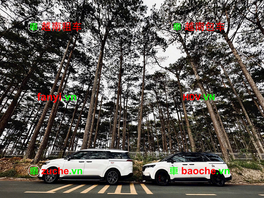 中国企业或个人如何在胡志明租车包车?